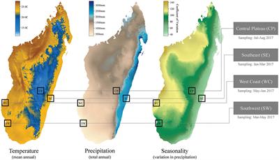 Study Protocol: A Cross-Sectional Examination of Socio-Demographic and Ecological Determinants of Nutrition and Disease Across Madagascar